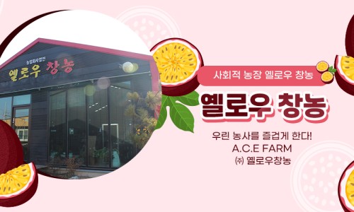 법인옐로우창농 이미지