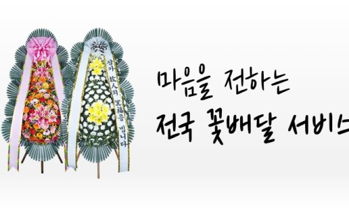 전국꽃배달 이미지