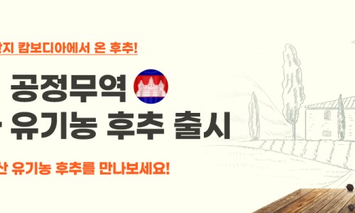 세계시민네트워크주 이미지