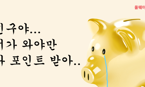 돈돈이 이미지
