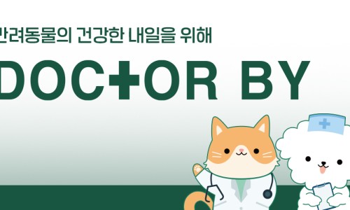 (주)바로닥터 이미지