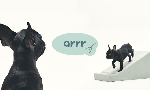 아르르(Arr) 이미지
