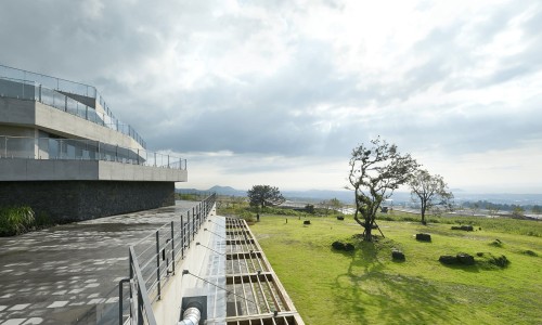 9.81 PARK JEJU 이미지