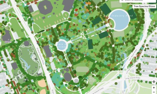 대대적으로 업데이트된 뉴욕시의 인기 온라인 트리 맵(Tree Map) : 네이버 블로그