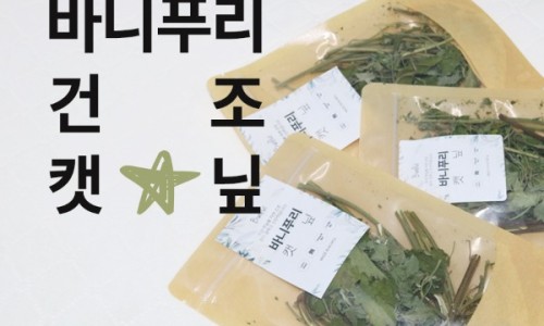 바니홀릭 이미지