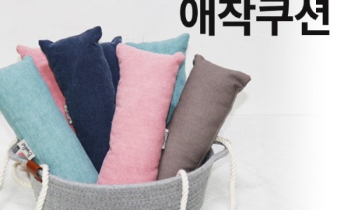 바니홀릭 이미지
