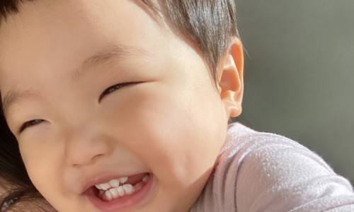 베베톤 이미지