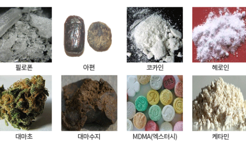 와인생각 이미지
