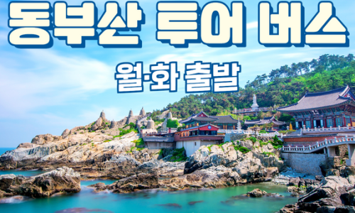 주식회사 오렌지투어 이미지