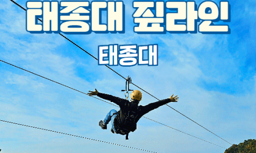 주식회사 바람여행 이미지