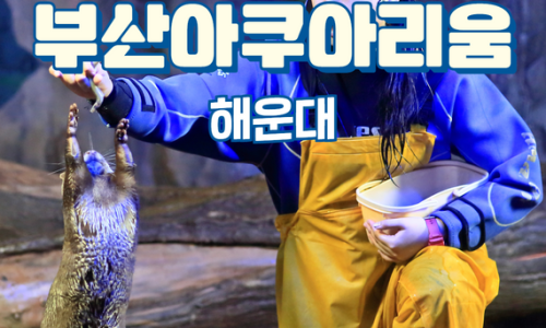 기대만족부산 이미지