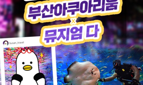 비와이컴퍼니 이미지