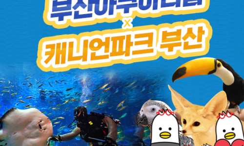 비와이컴퍼니 이미지