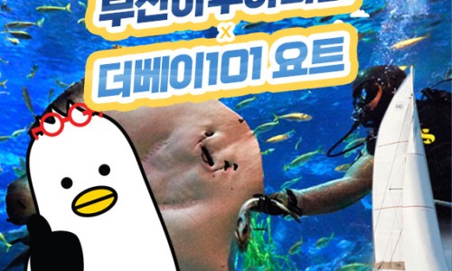 비와이컴퍼니 이미지
