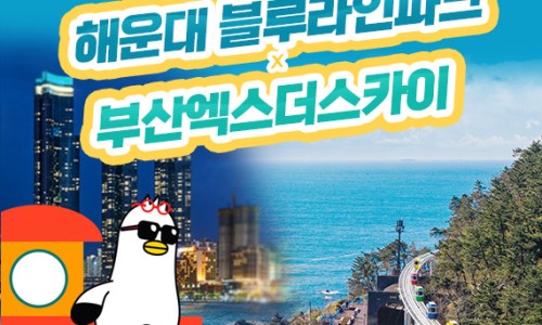비와이컴퍼니 이미지