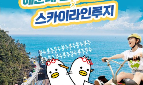 비와이컴퍼니 이미지
