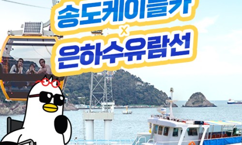 비와이컴퍼니 이미지