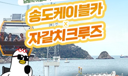 비와이컴퍼니 이미지