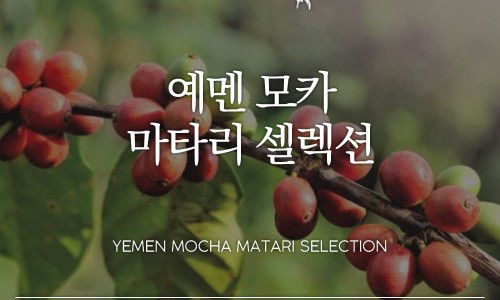 알커피컴퍼니 이미지