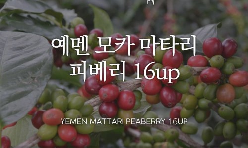알커피컴퍼니 이미지