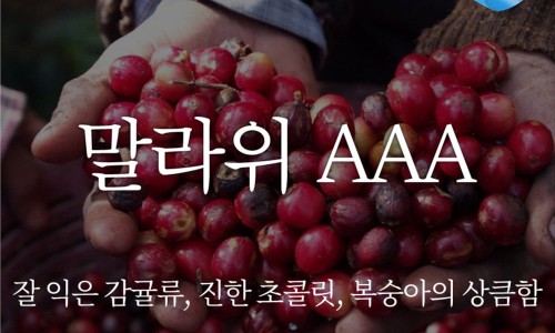 카페알트로 이미지