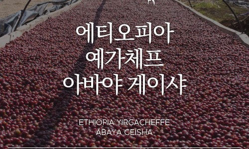 민트로스팅카페 이미지