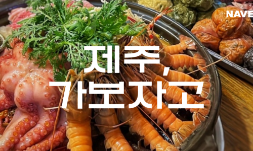 제주다시 이미지