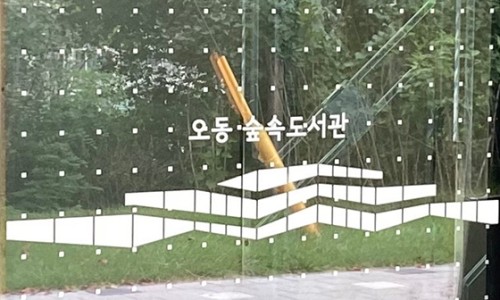 오동유리 이미지