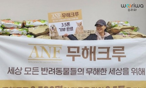 주식회사 나비야 이미지