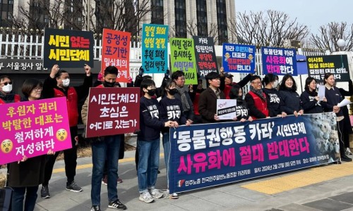 공방카라 이미지