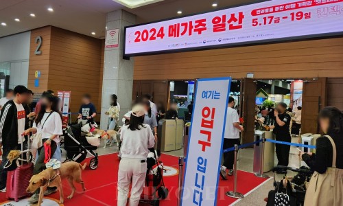 한국전관주 이미지