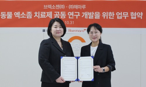 주식회사 해마루 이미지