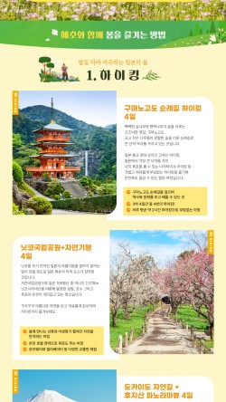 태화여행사 이미지