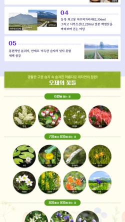 혜초여행개발 이미지