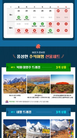 태화여행사 이미지