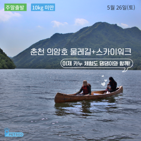 자유여행사 주식회사 이미지