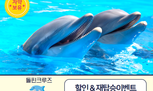 돌핀 이미지