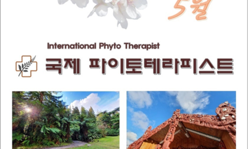 천년메디칼 이미지