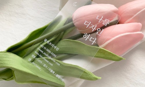 달치즈디자인 이미지