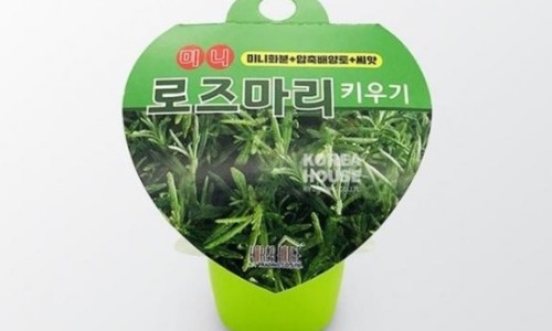 팜잉 이미지
