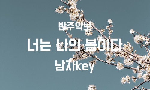 하다지(HADAJI) 이미지