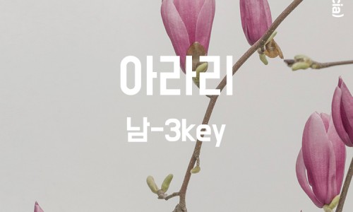 하다지(HADAJI) 이미지