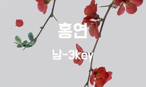 하다지(HADAJI) 이미지