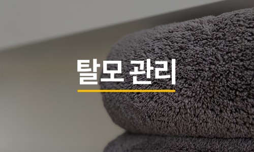 이백퍼센트(주) 이미지