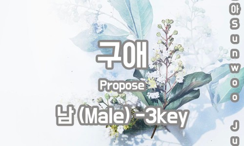 하다지(HADAJI) 이미지