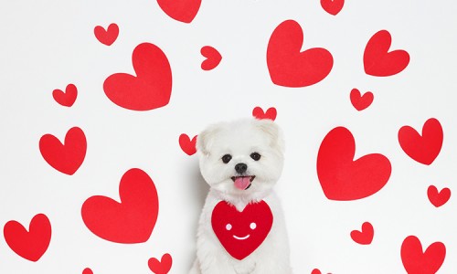 루체테스튜디오 이미지