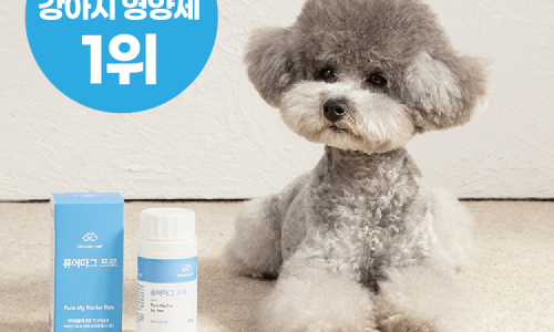 퓨어마그 프로 강아지 종합 눈물 관절 영양제 항산화제 슬개골 마그네슘