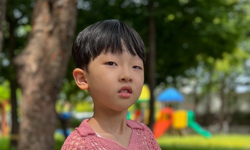 탑팩키지 이미지