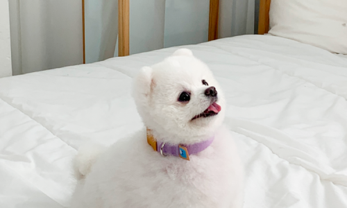 리드스튜디오 이미지