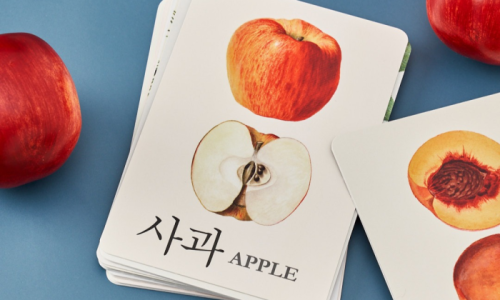 꽃바바 이미지